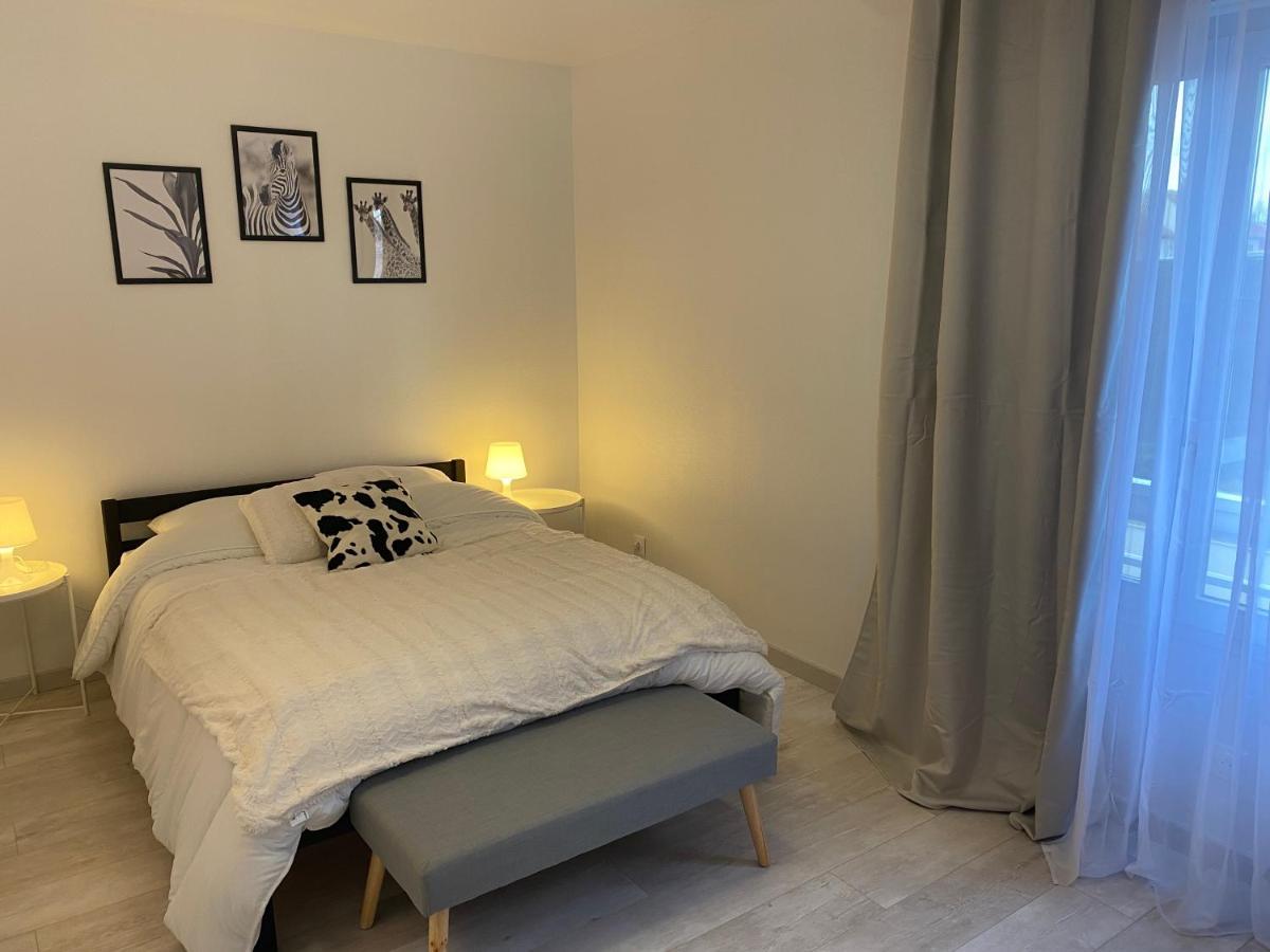Le Grand Dollfus, 90M2 De Charme Au Coeur De Ville Mulhouse Esterno foto