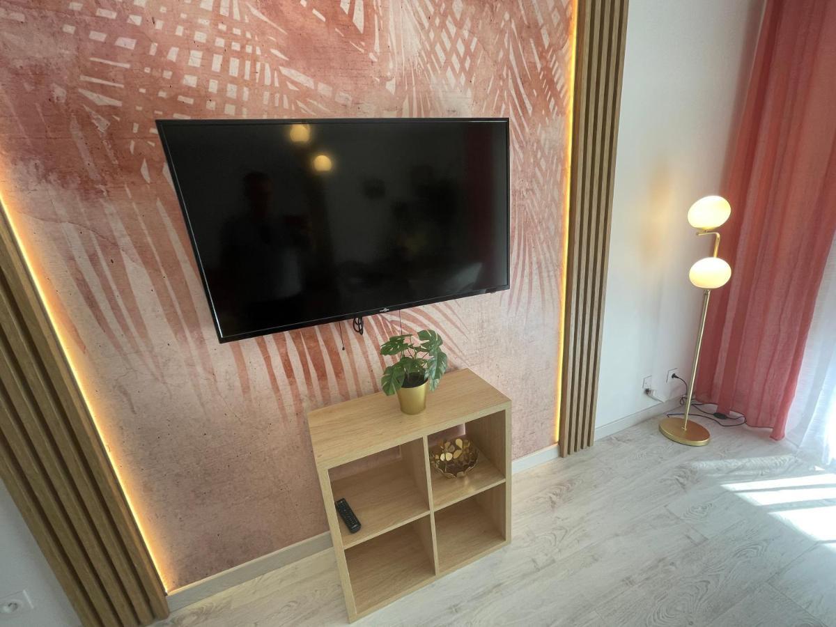 Le Grand Dollfus, 90M2 De Charme Au Coeur De Ville Mulhouse Esterno foto